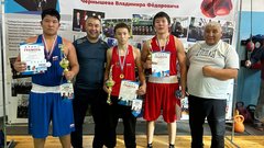 Юные боксеры из Соль-Илецка отметились на межрегиональном турнире
