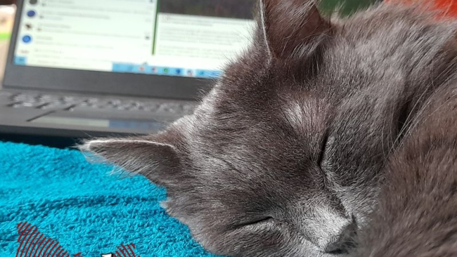 Набираемся сил: предстоящая рабочая неделя в Оренбуржье будет шестидневной