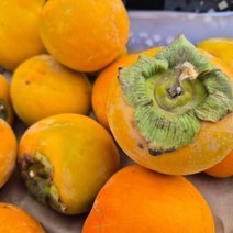 В Соль-Илецк доставили тонны зараженной хурмы