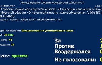 В Оренбуржье резко увеличат стоимость патентов для малого бизнеса