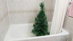 Как соль-илечанам утилизировать елку после праздников