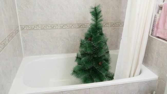 Как соль-илечанам утилизировать елку после праздников