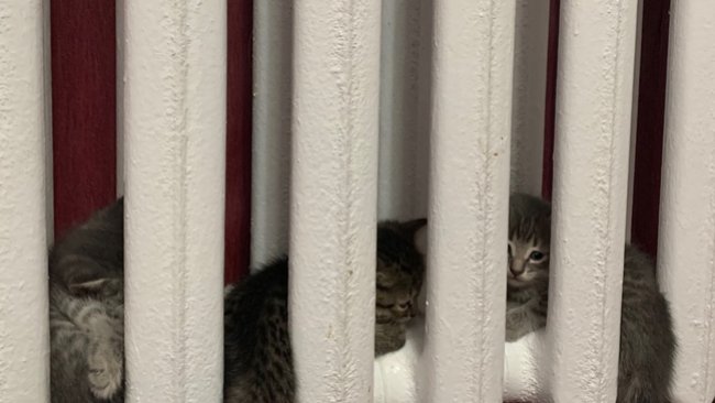 Суд отказал жителю Соль Илецка в выплате за затопленный дом