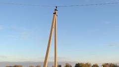 Наезд на опору электропередач обошелся жителю Соль-Илецка в 50 тысяч рублей 