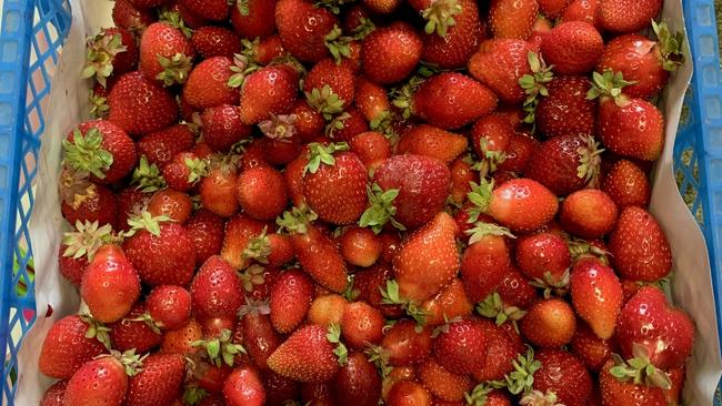 В Соль-Илецке продавца наказали рублем за торговлю фруктами без регистрации