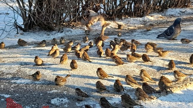 Каким будет март в Оренбуржье