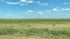 В Соль-Илецке прокуратура через суд вернула земельный участок муниципалитету