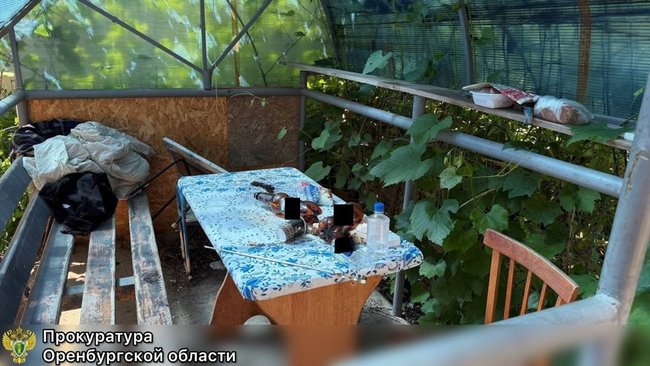 В Соль-Илецке огласили приговор мужчине, который расчленил и сжег знакомого в бане (18+)