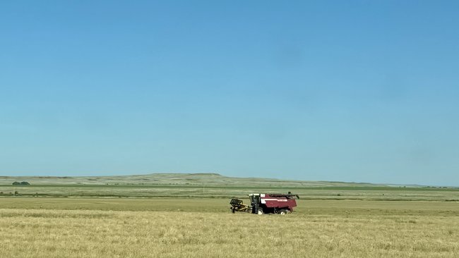В Соль-Илецком округе стартовали весенние полевые работы