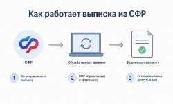 Дистанционное подтверждение дохода: как работает выписка из СФР