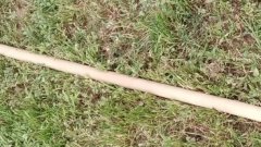 В Соль-Илецке мужчина ударил знакомого палкой и избежал судимости