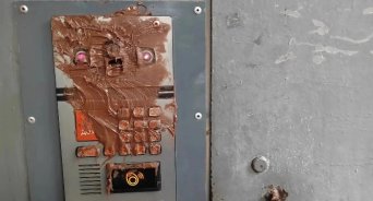В Оренбурге дети измазали дверь и домофон многоквартирного дома шоколадной пастой