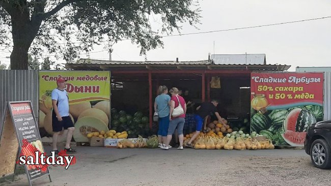 Соль-Илецк вывел Оренбуржье на первое место в стране по выращиванию арбузов