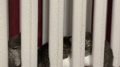 В Соль-Илецком округе назвали дату начала отопительного сезона 2026-2027 годов