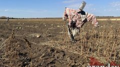 В Соль-Илецке вслед за курортным сезоном заканчивается и бахчевой